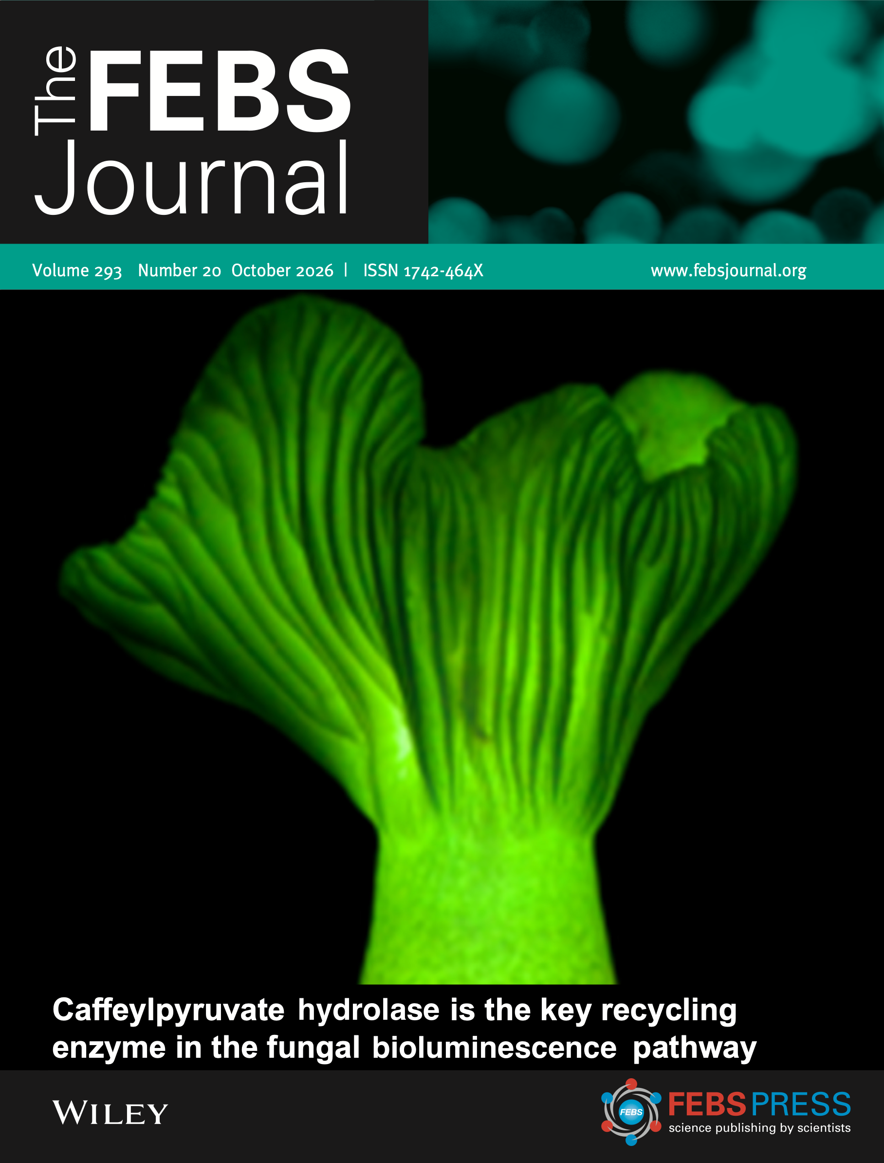 The FEBS Journal · Volume 293, Issue 20 · October 2026