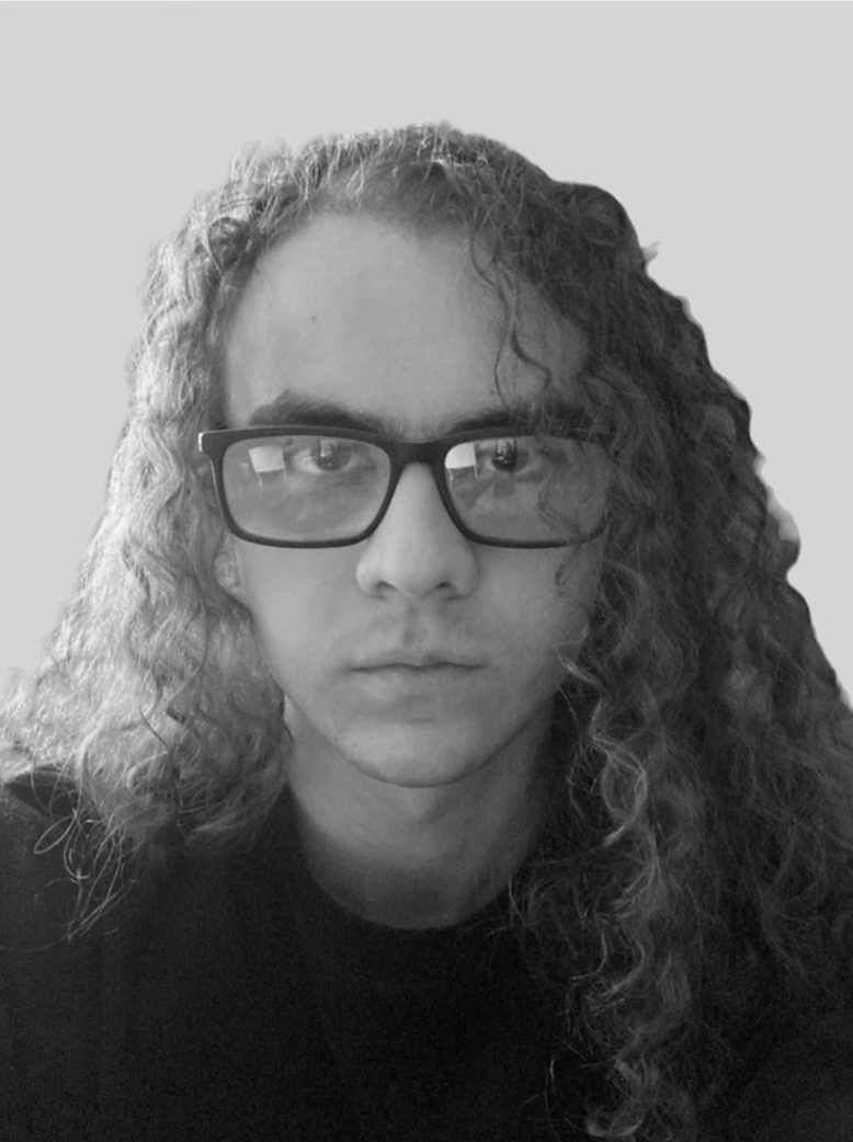 Samir V. F. Atum